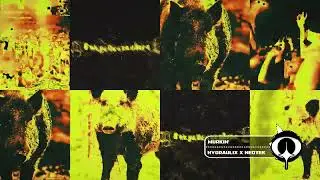 Hydraulix & Neotek - MURKIN' (Official Visual)
