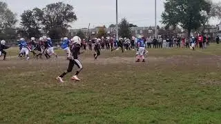 DevDog#75- Gator Int