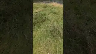 Налет-Полет))
