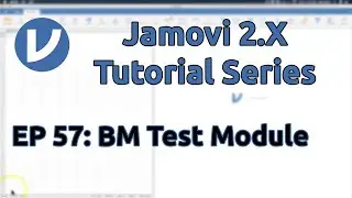 Jamovi 2.X Tutorial: BM (Brunner-Menzel) Test Add-On Module (Episode 57)