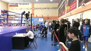 Турнир по боксу в Лангепасе