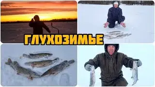 РЫБАЛКА В ГЛУХОЗИМЬЕ УДАЛАСЬ 👍Рыбалка в Тамбовской области 🎣Рыбалка 68 🎣