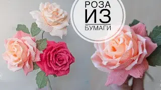 An inverted rose of paper