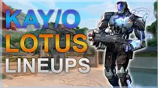 Quick & Easy KAY/O LINEUPS To Apply