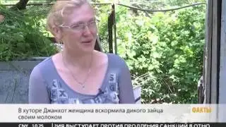https://tjournal.ru/28731