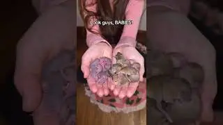 This is old, but had to show you the cuteness!