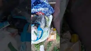 помоечка кормит!!! 