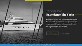 💎Exclusive Slide Design In PowerPoint (with serif fonts)
