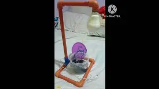 Saltwater Lamp 🪔/Genior Sotasn