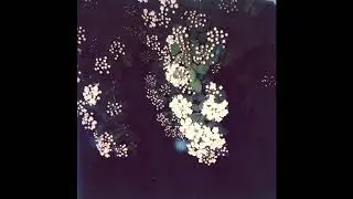 [FREE] ACOUSTIC GUITAR x FRANK OCEAN Type Beat (ft. Umi) - 