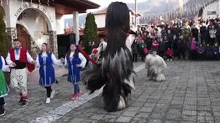 ПОЛЕНА  СУРВА 23 на площада