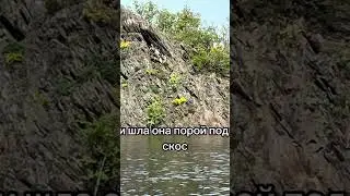 Стих: другие