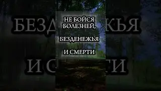 НЕ БОЙСЯ БОЛЕЗНЕЙ И СМЕРТИ #shorts #вера #духовность #христианство #болезни #смерть