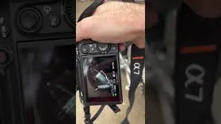 Sony 50mm 1.8 - a great beginner lens! 