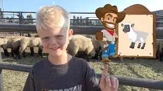 Mutton Busting 🐑 | RIDING CRAZY SHEEP at the RODEO