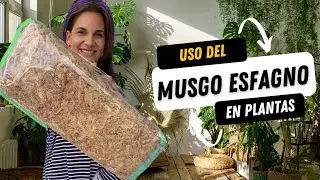 Propiedades/Uso del Musgo de Esfagno en las Plantas
