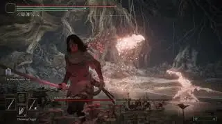Elden Ring - Malenia No Hit NG+7