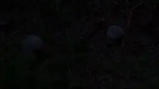 intervallo - San Cataldo (LE), 2019