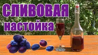 Сливовая настойка на водке. Настойка на сливе. Сливянка. Ягодная настойка на водке. Рецепт.