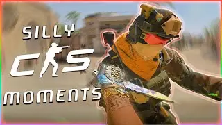 CS2 Experience without cheaters (VERY RARE, 99% IMPOSSIBLE)