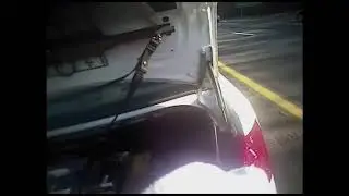 Virginia Cop Stops Everything to Rescue Terrified Kitten on Interstate