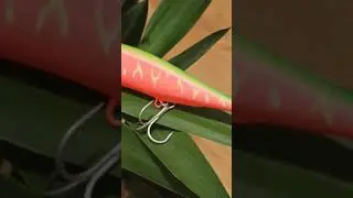 На что копия?