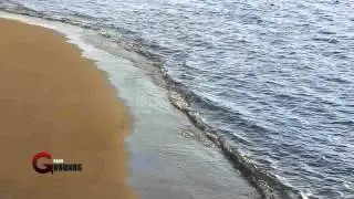 The Beach - ROYALTY FREE Stock Footage HD 1080p