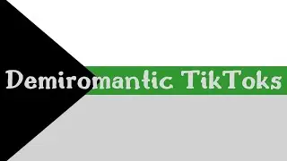 demiromantic tiktoks