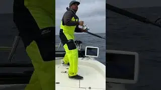 Big Bluefin Destroys Flying Fish!  Oliver@bigbassdreams.com