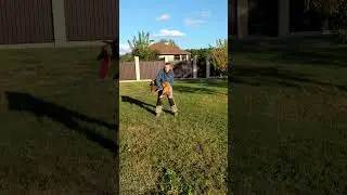 Спортивный Метис Прима - дог-кетч  #dogfrisbee #frisbee #dogtraining  #discdog