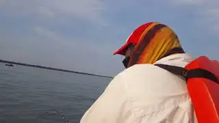 #Bogas