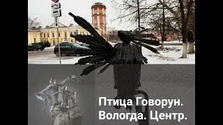 Птица Говорун. Вологда. Центр.