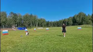 Женя и Ринтин Призрак