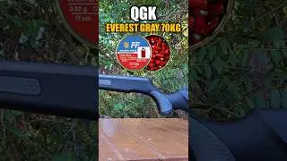 QGK EVEREST 5.5 70KG #carabinadepressao