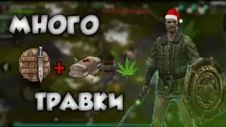 🥦ПРАВИЛЬНОСТЬ ФАРМА ТРАВКИ🥦!FROSTBORN