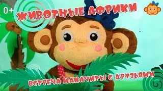 Животные Африки. Встреча Макачиты с друзьями