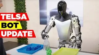 Tesla Bot Update | Sort & Stretch | Tesla Bot Update: Sorting and Stretching Features Revealed!