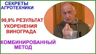 Комбинированный метод укоренения черенков винограда.  99,9% результат.