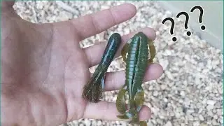 Using ONLY the WEIRDEST BAITS CHALLENGE!