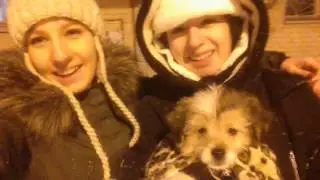 \\ С НОВЫМ 2016 ГОДОМ! //