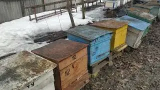 Рукажопый пчеловод.