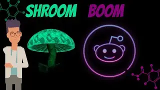 What Social Data Tells Us About Shroom Stocks
