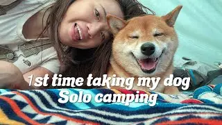 First time Solo camping with my dog - eurohike tent - homemade mcmuffin 我同我嘅狗一齊去露營 - 自製 豬柳蛋漢堡 - [粵語]