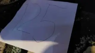Exotic number creatures 125