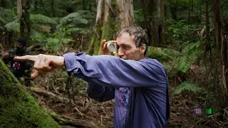 Measuring NSW's Tallest Tree 2024