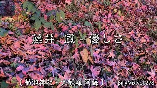 藤井 風 - YASASHISA「優しさ」（菊池神社・大観峰 阿蘇）/ BillyMix.Vol.278