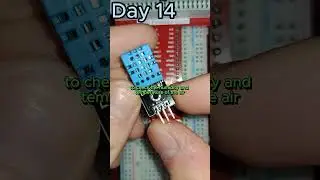 Day 14 of 30: Adding a DHT-11 Module to a Raspberry Pi