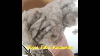 как делают кашемир #travel