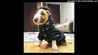 feofilov - pills/npc v.3 (слив трека)