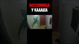 Бессонница у Калаша